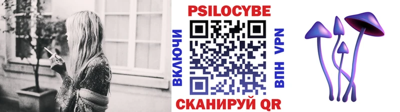 Галлюциногенные грибы Psilocybine cubensis  где купить наркотик  Харовск 